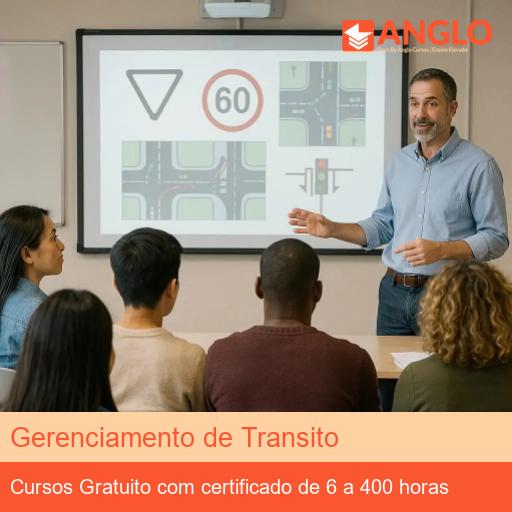 Gerenciamento de Transito